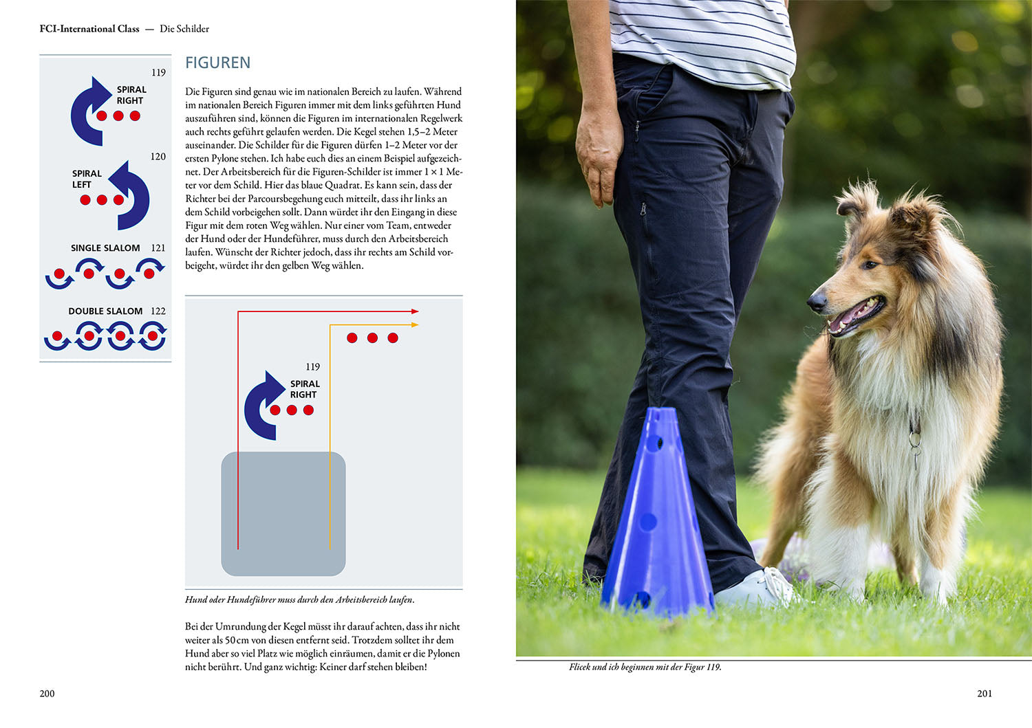 kosmos-rally-obedience-buch-hundesport-training-parcours image 6