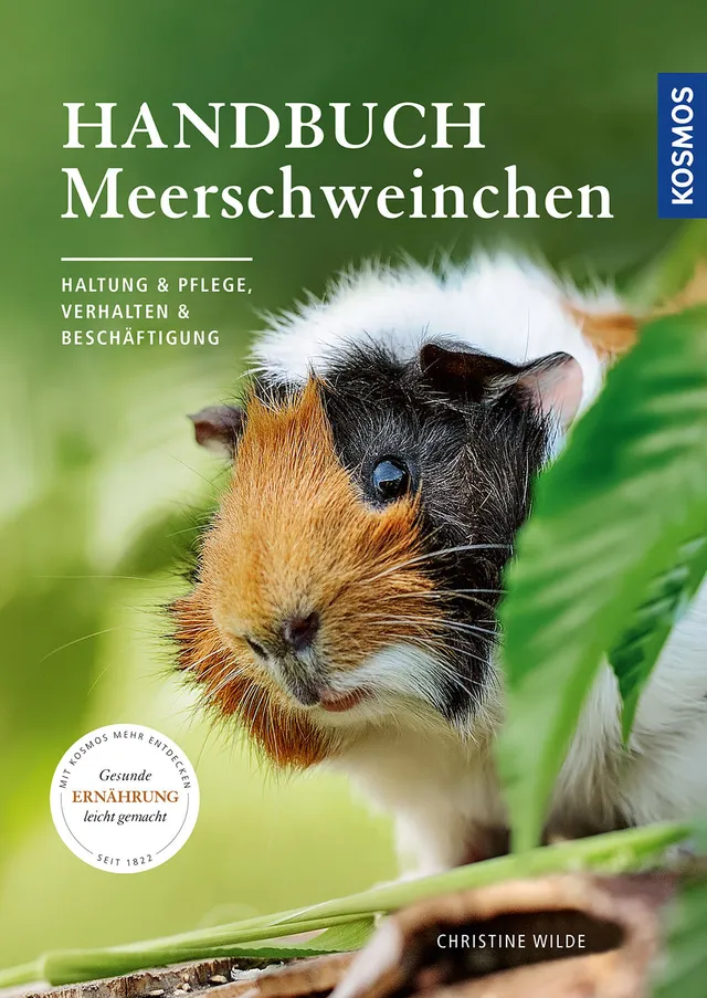 adventure-games-handbuch-meerschweinchen-ebook-haltung image 1