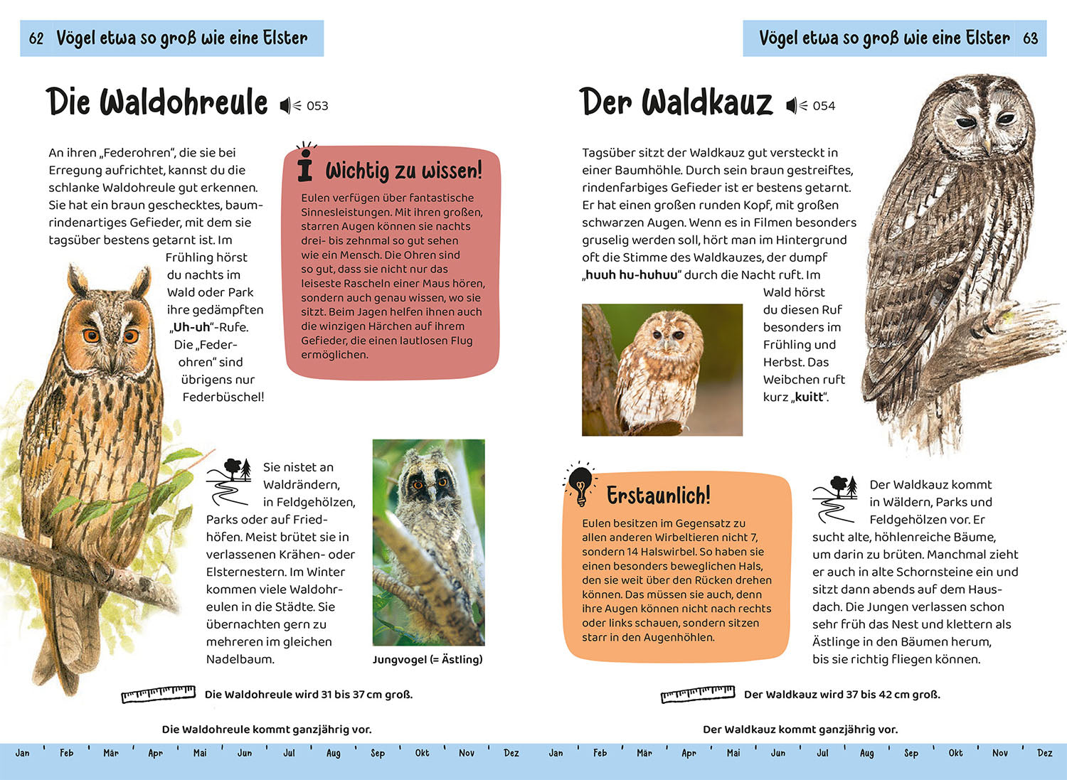 kosmos-was-fliegt-denn-da-kindernaturf-hrer-v-gel image 6