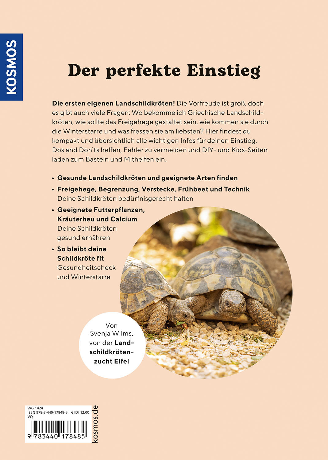 die-zauberkicker-landschildkr-ten-ratgeber-freigehege-haltung image 2