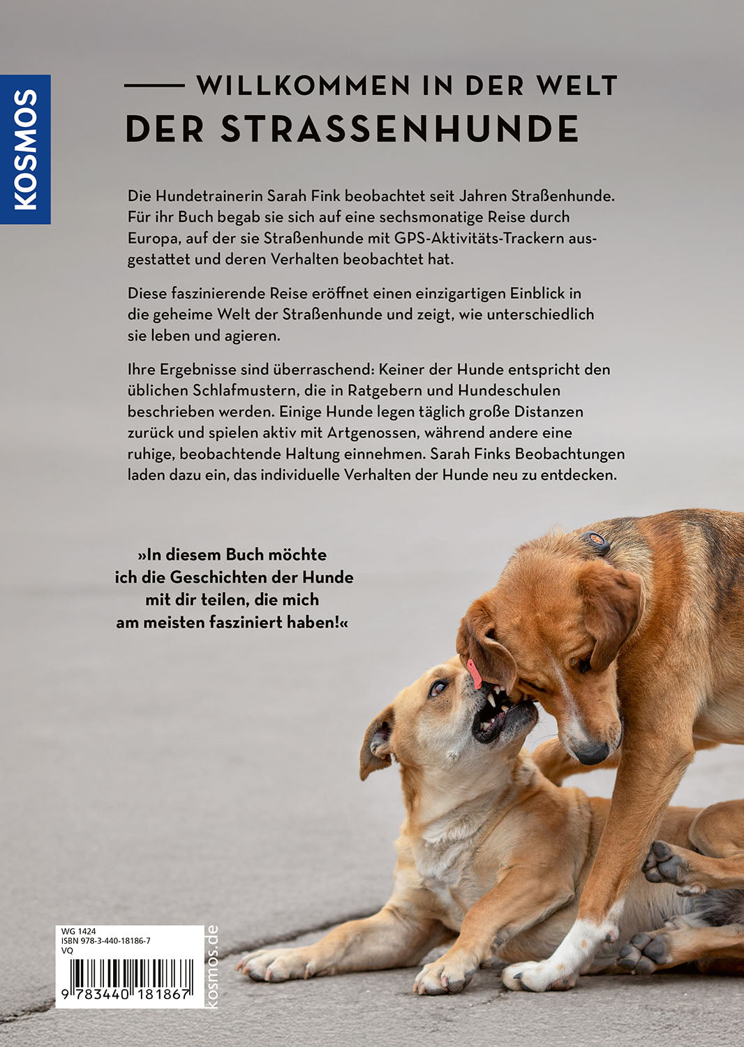 kosmos-die-geheime-welt-der-stra-enhunde-hunderatgeber-buch image 2