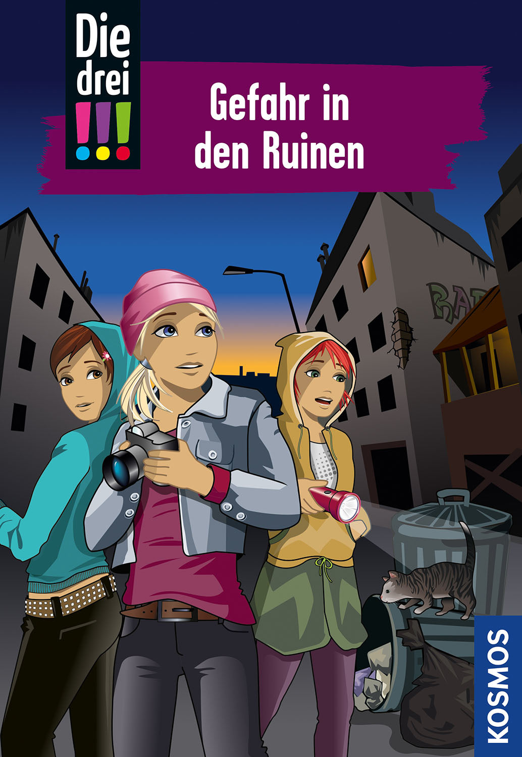 die-drei-71-gefahr-in-den-ruinen-detektivbuch image 1
