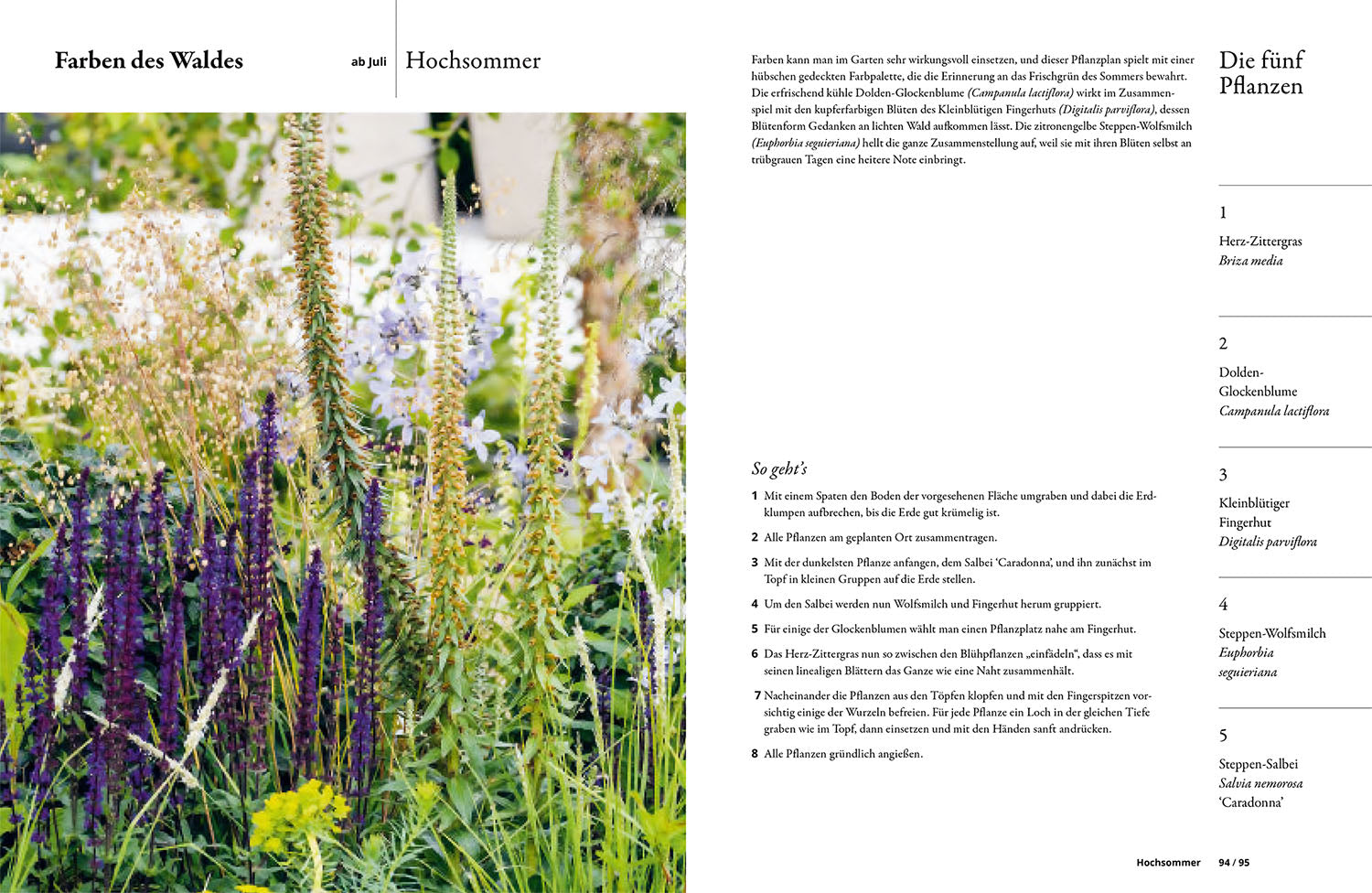 kosmos-einfach-gestalten-mit-5-pflanzen-gartenbuch-grow-5-2 image 5