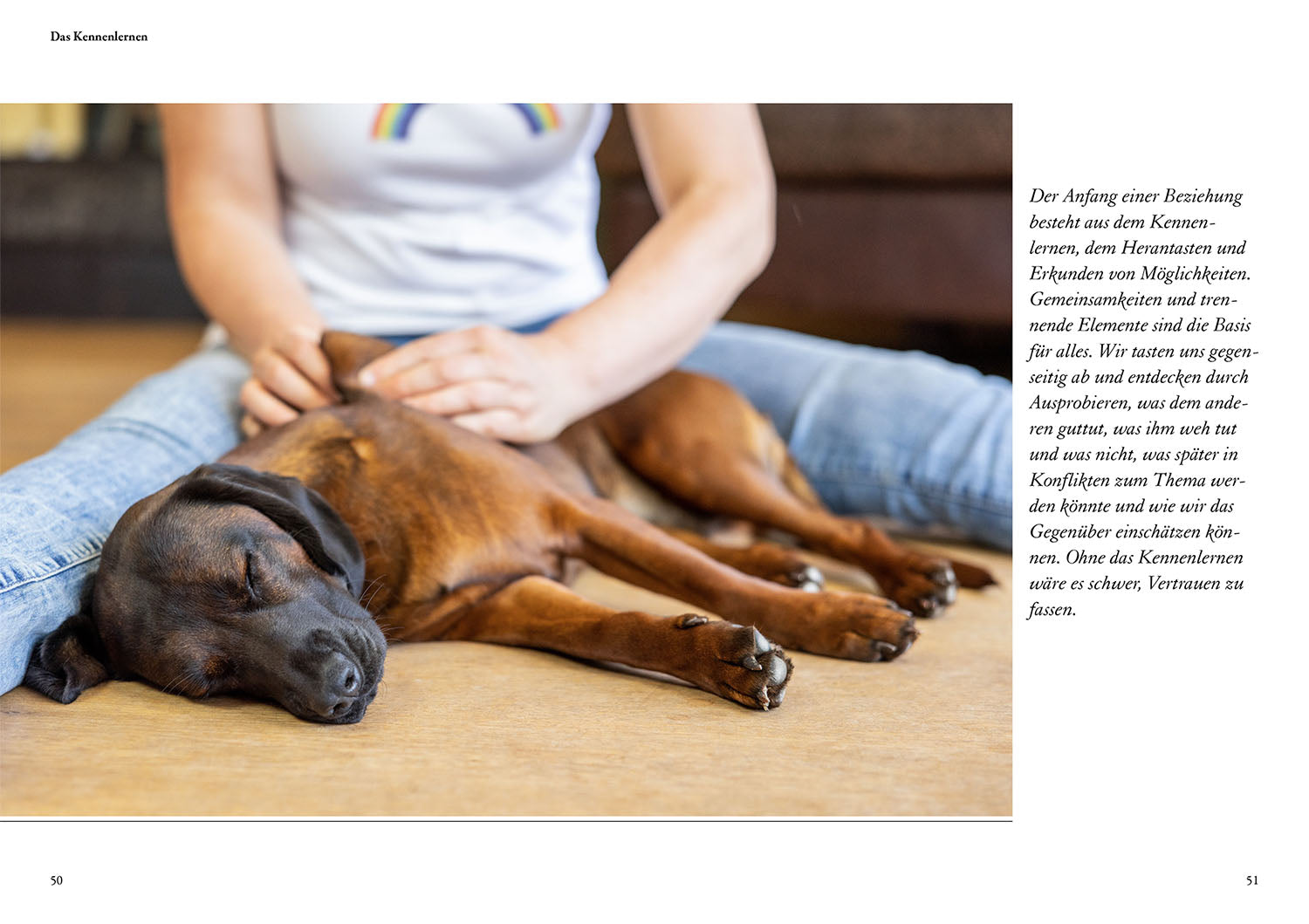 kosmos-hunde-f-hlen-und-anleiten-buch-maren-grote-kontakt image 4