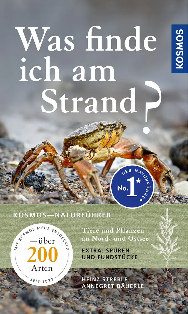 kosmos-was-finde-ich-am-strand-naturf-hrer-nord-ostsee image 1