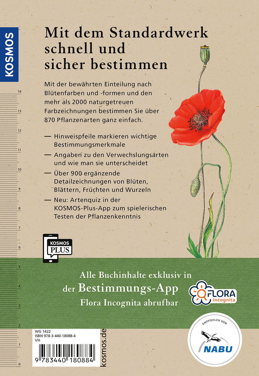 kosmos-was-bl-ht-denn-da-buch-pflanzenf-hrer-870-arten image 2