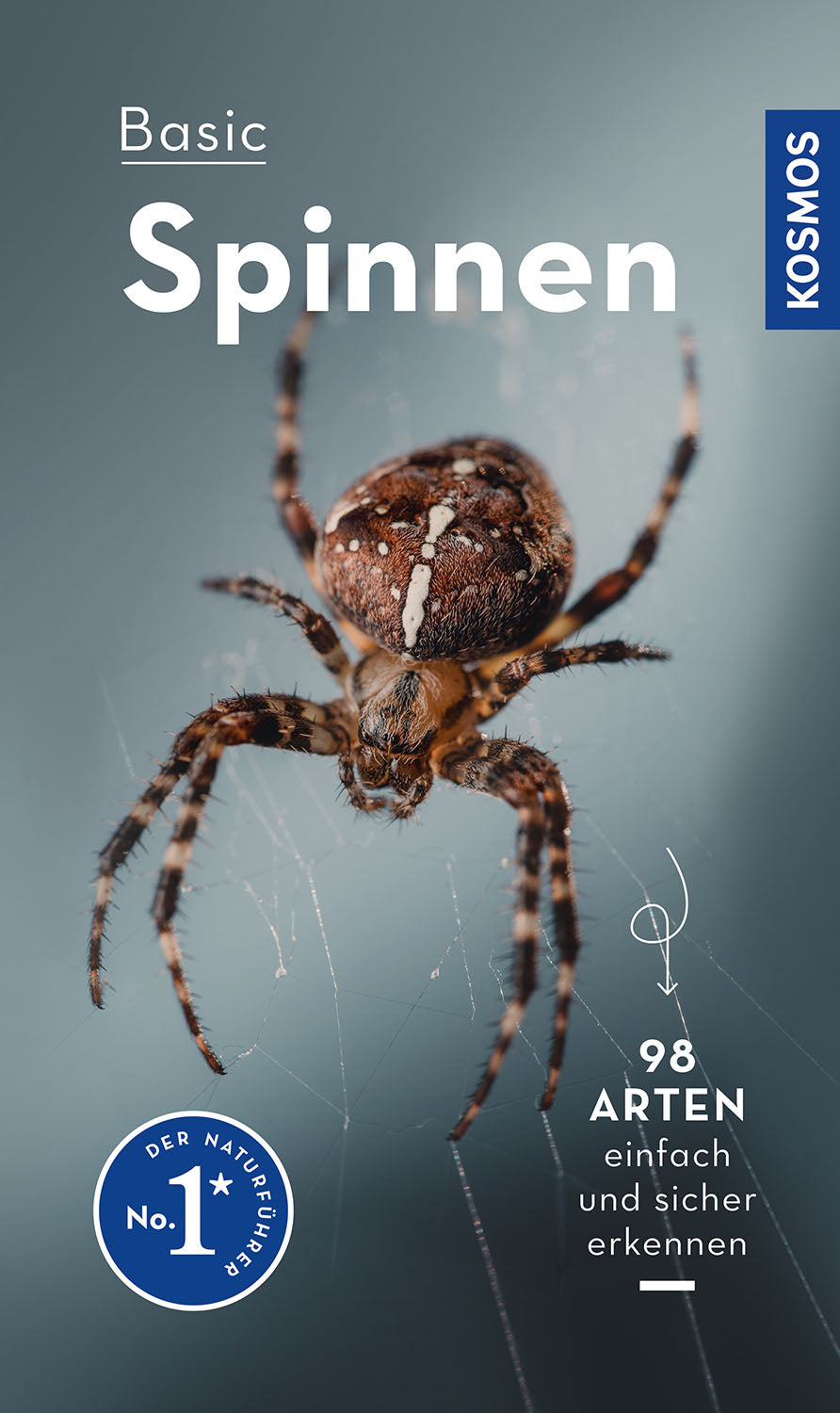 kosmos-basic-spinnen-naturf-hrer-taschenformat image 1