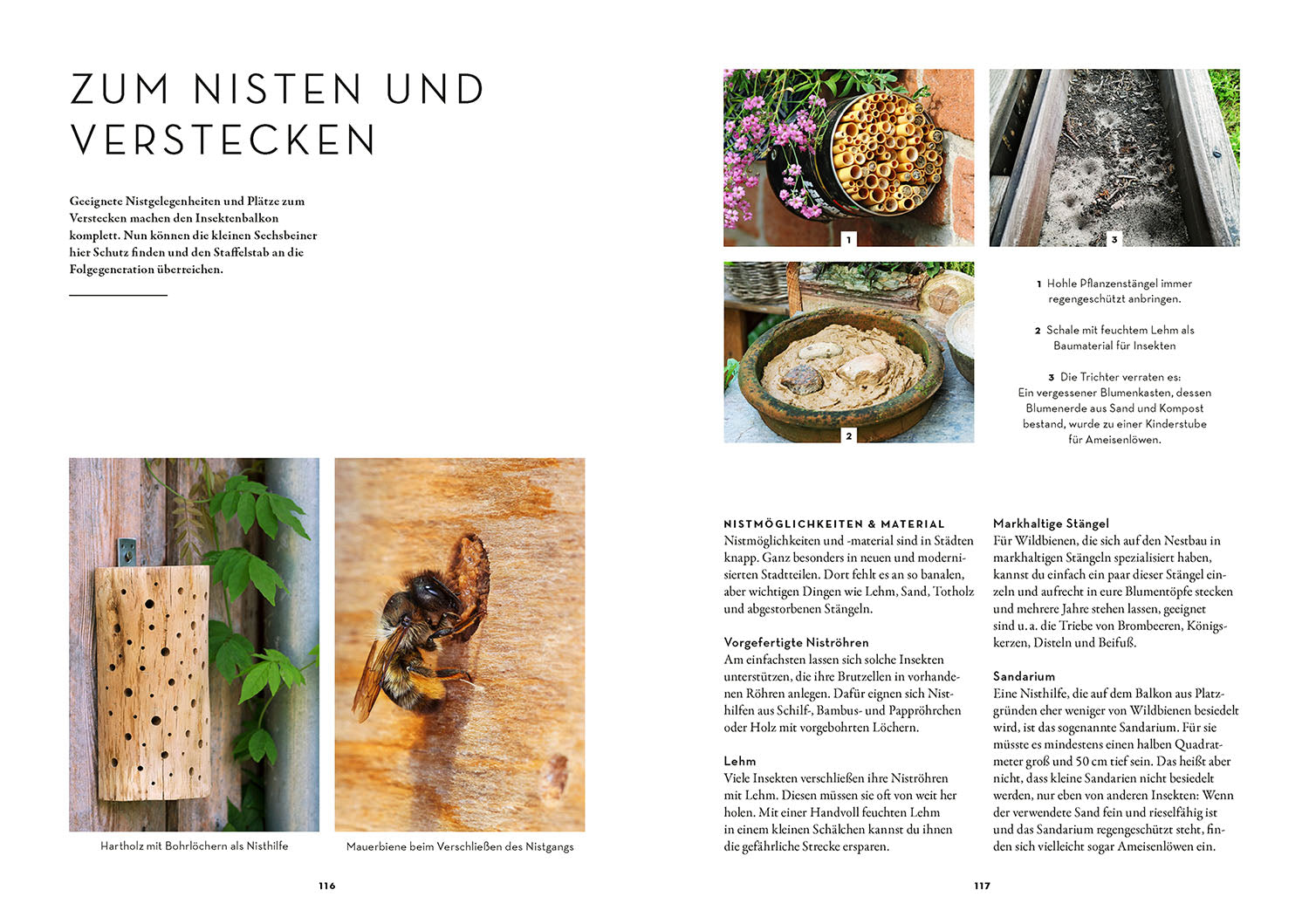 kosmos-dein-balkon-summt-ratgeber-insekten-balkon-diy image 6