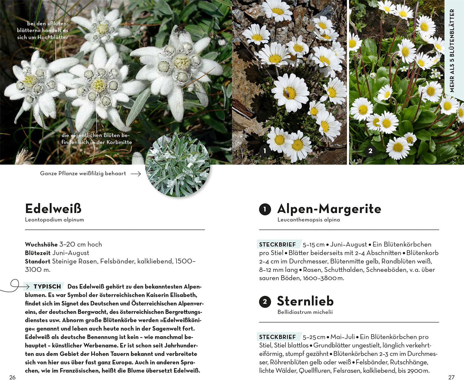 kosmos-basic-alpenblumen-naturf-hrer-taschenformat image 4