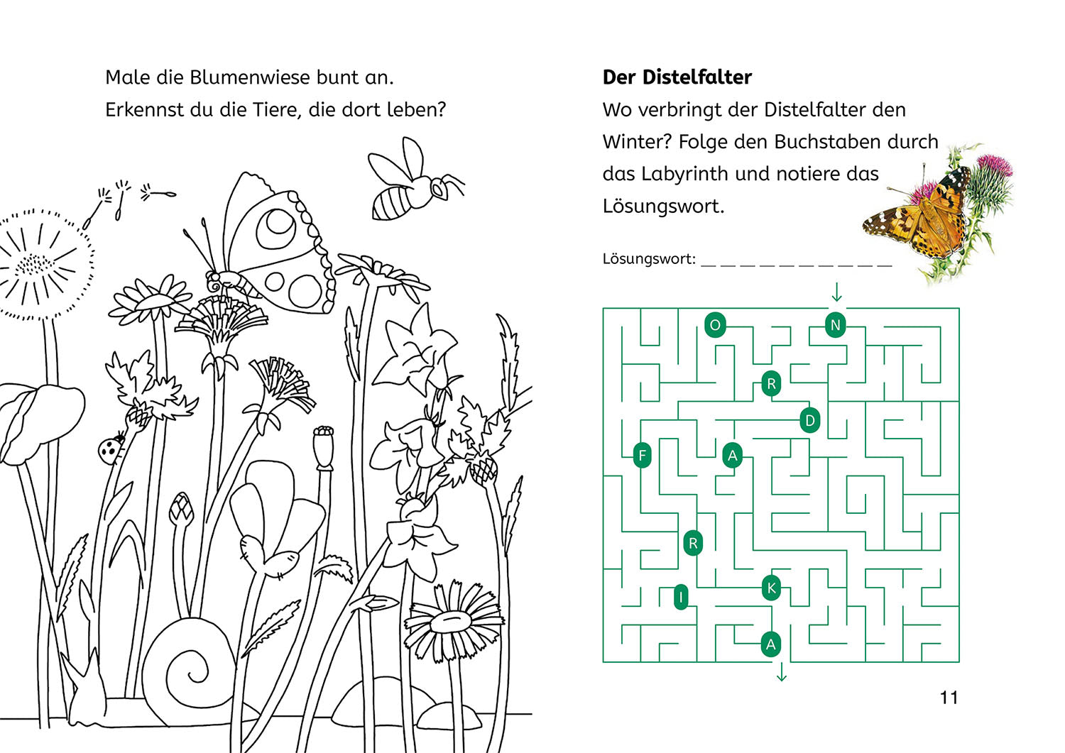 kosmos-b-cherhelden-lesen-lernen-naturr-tsel-insekten-2-klasse image 3