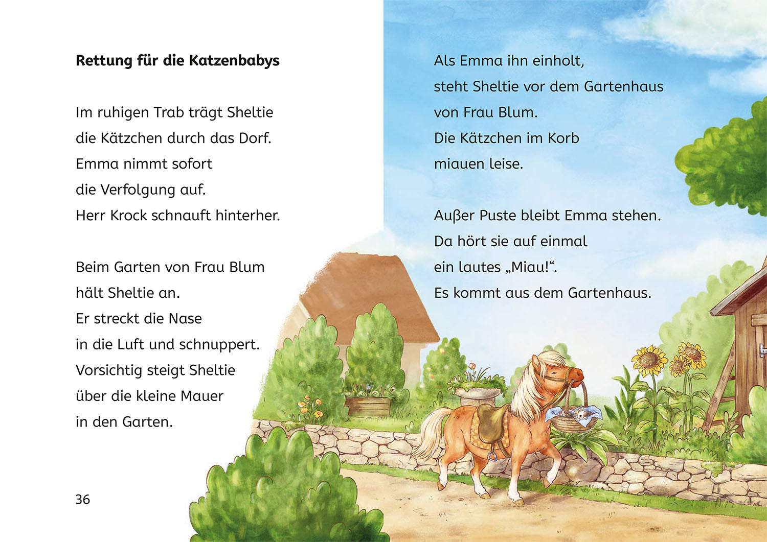 kosmos-sheltie-und-die-katzenbabys-b-cherhelden-1-klasse-buch image 6