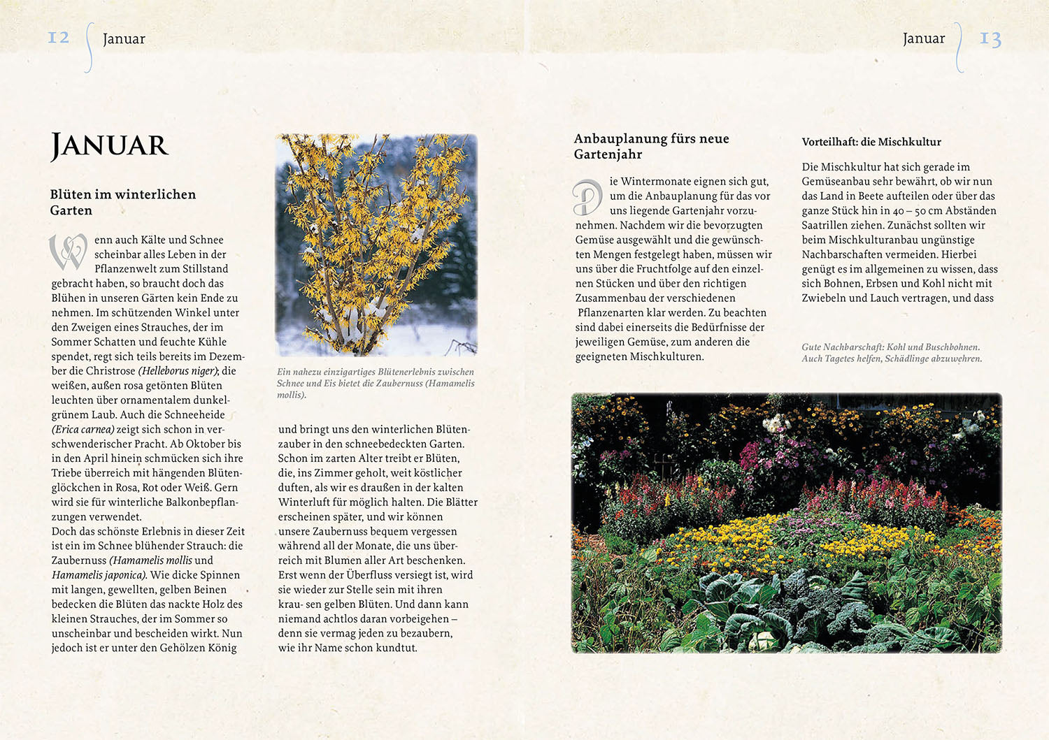 geheimnisse-aus-dem-klostergarten-bio-gartenbuch-christa-weinrich image 3