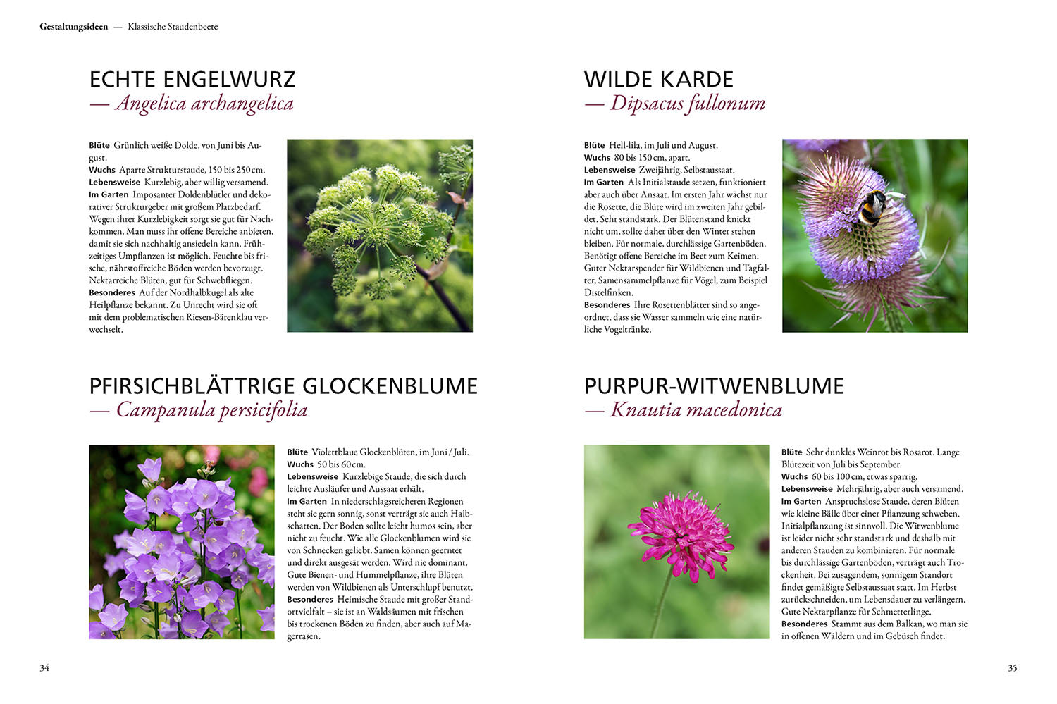 kosmos-der-antiautorit-re-garten-buch-naturgarten-simone-kern image 4
