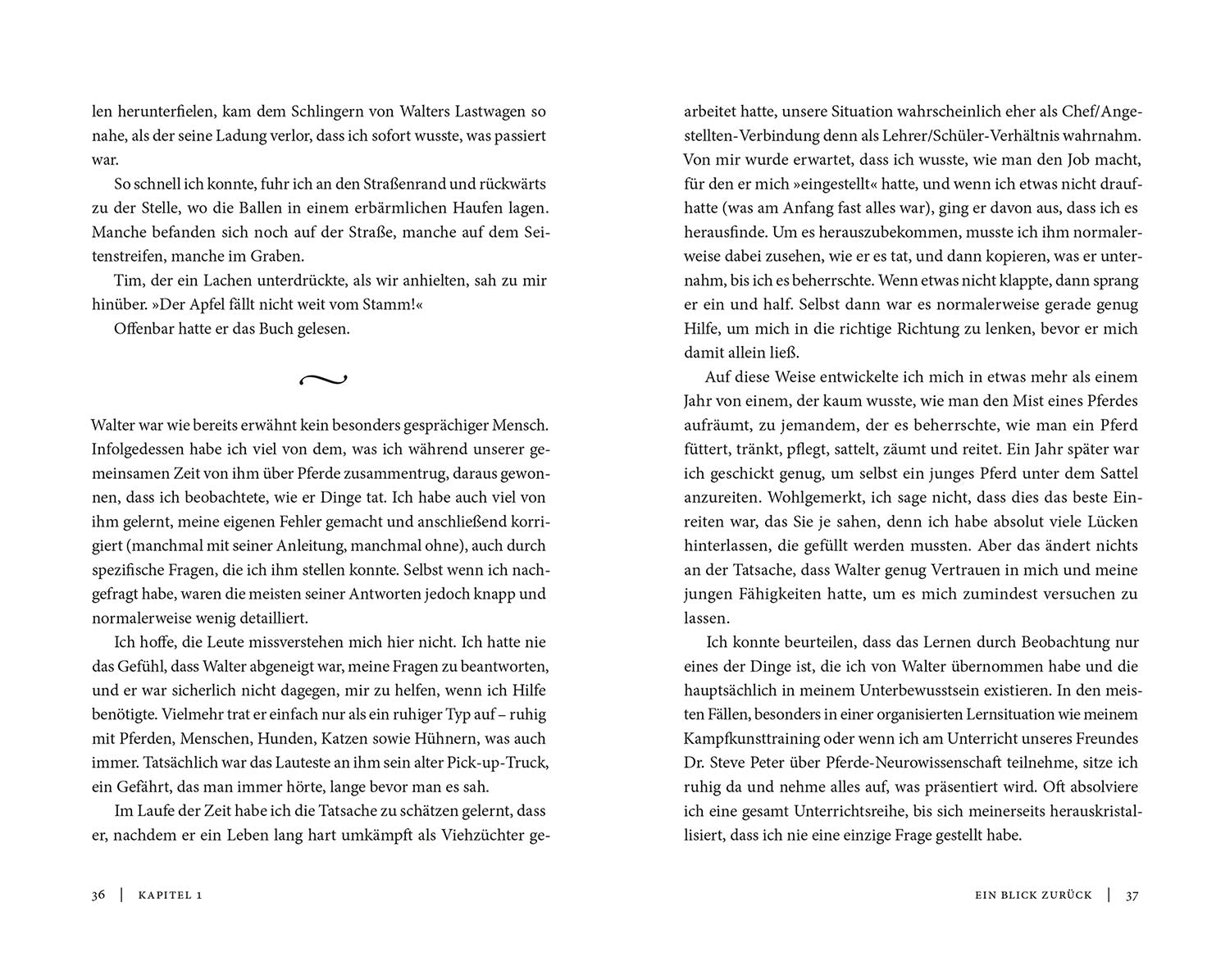 kosmos-aus-liebe-zu-den-pferden-buch-mark-rashid image 4