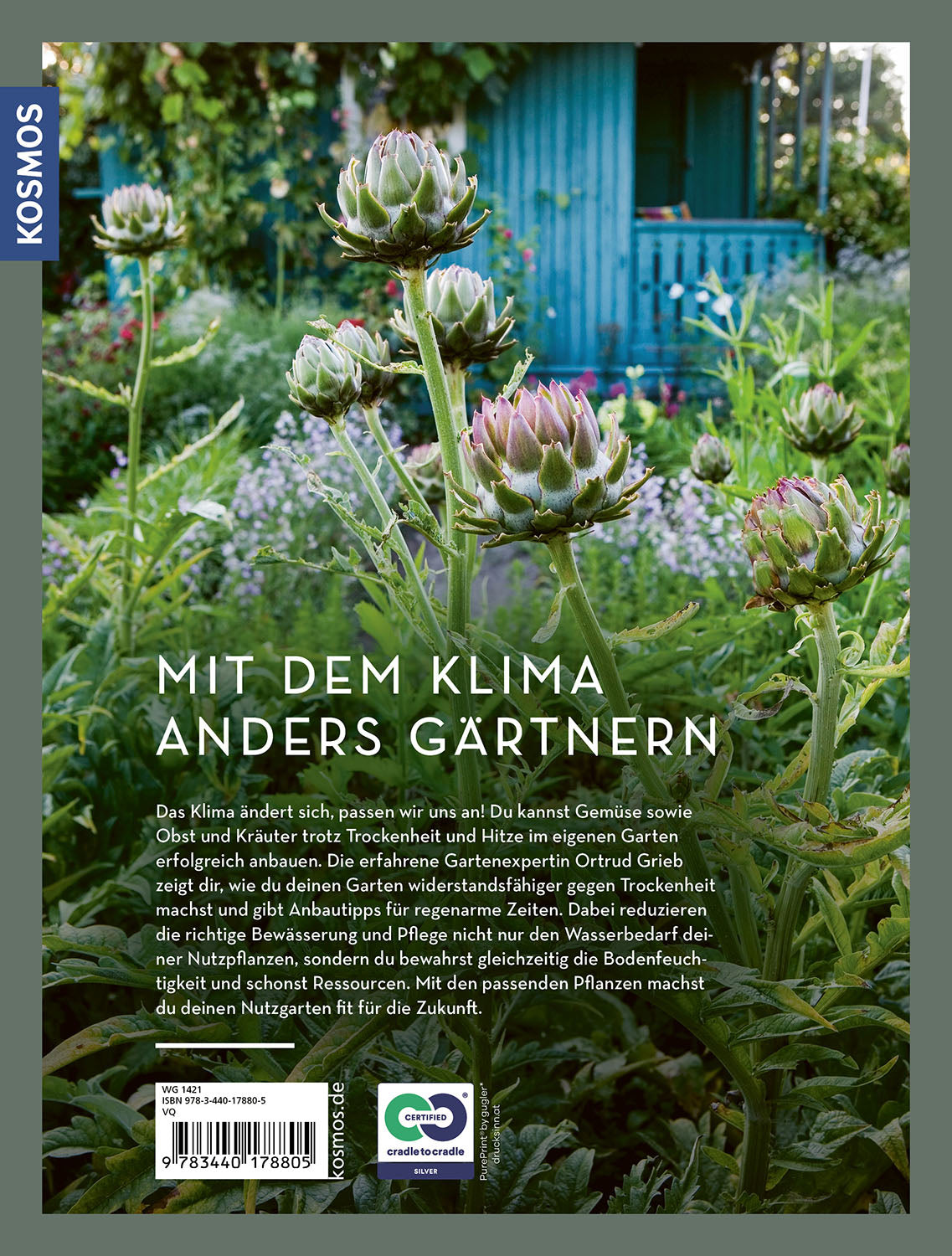 kosmos-trockenhelden-im-gem-sebeet-gartenbuch-trockenheit image 2