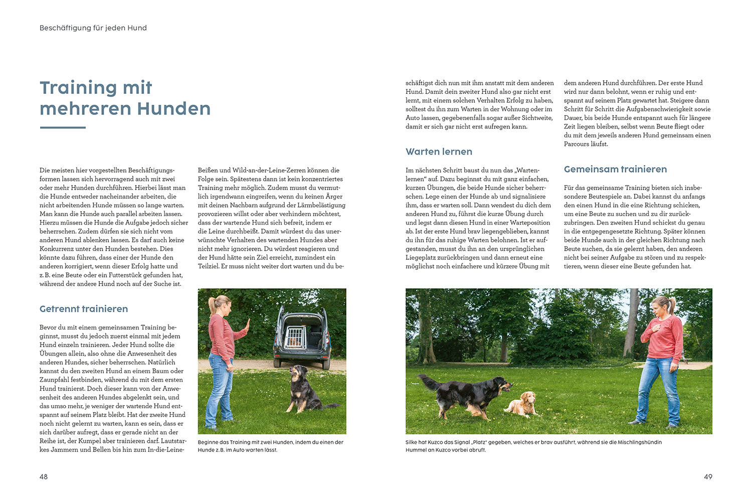 martin-r-tter-hunde-besch-ftigen-buch-hundespiele image 3