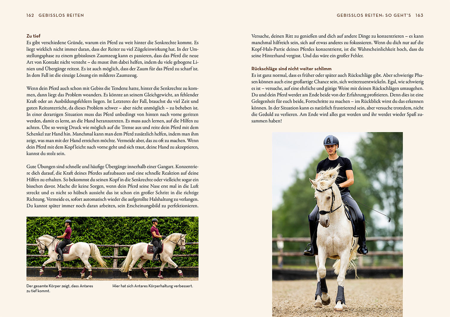 gebisslos-reiten-jesse-drent-pferdebuch-z-umungen image 6