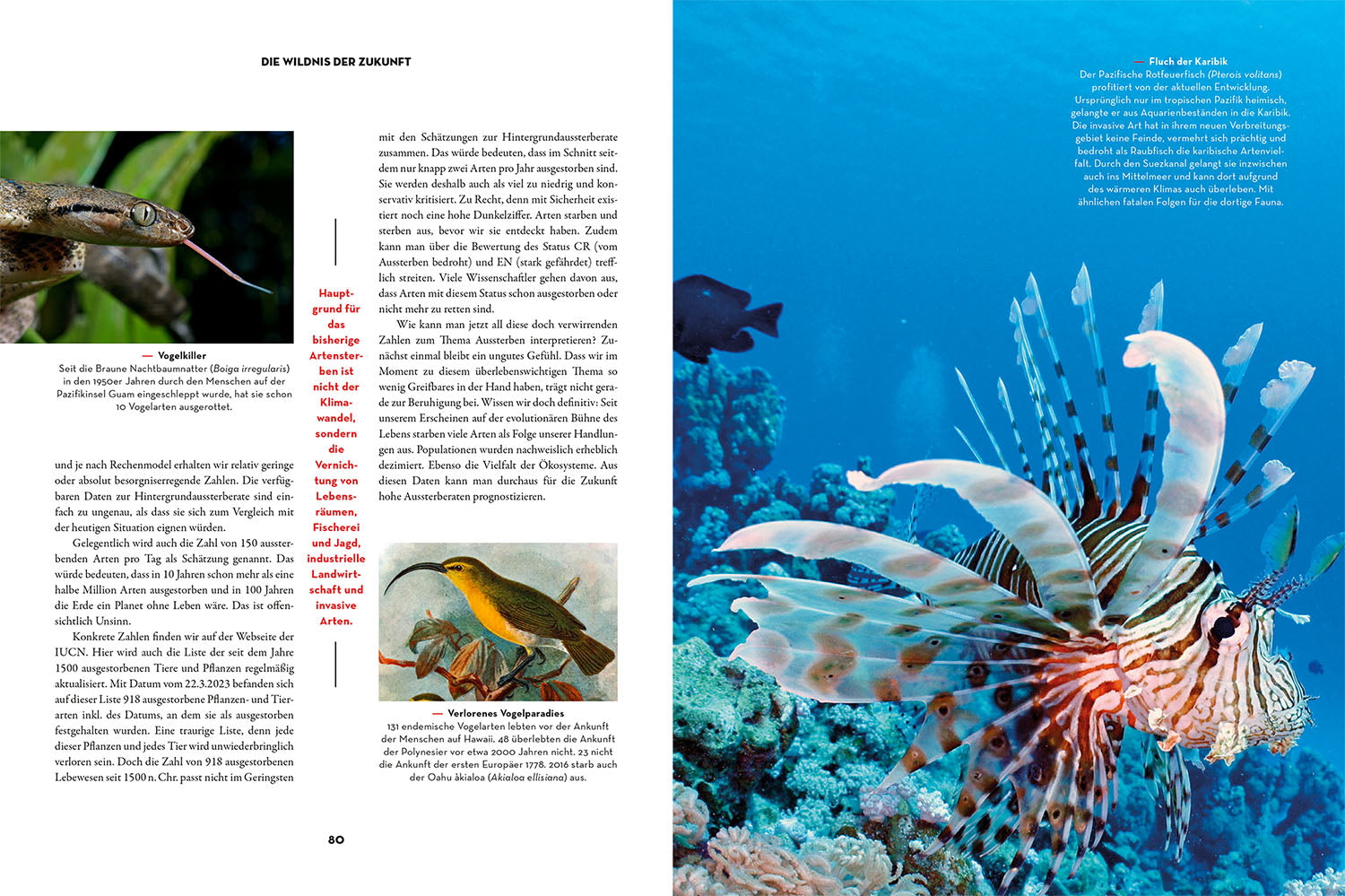 kosmos-die-wildnis-der-zukunft-sachbuch-anthropoz-n-klima image 5