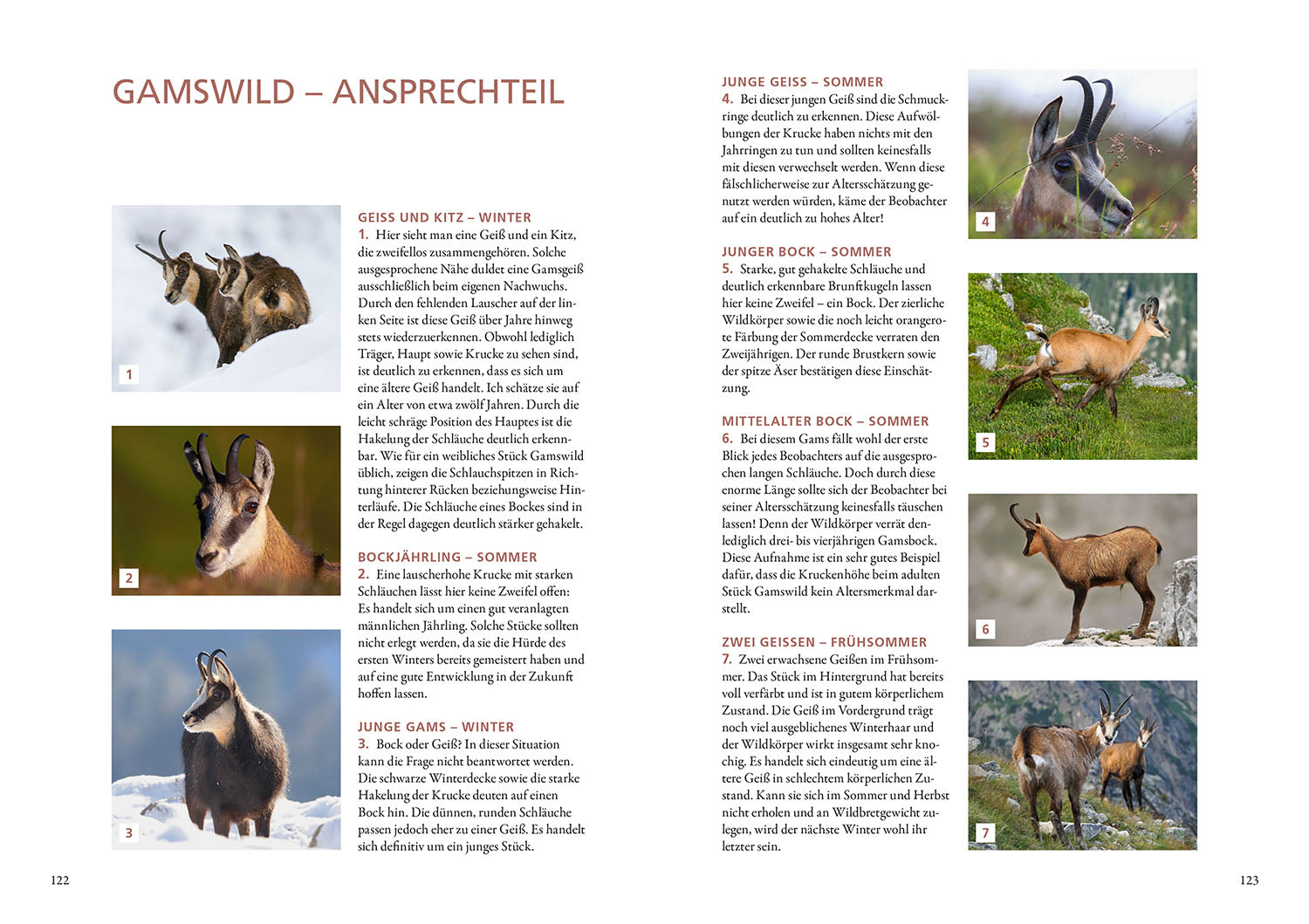 kosmos-die-altersansprache-des-schalenwilds-ratgeber-jagd image 5