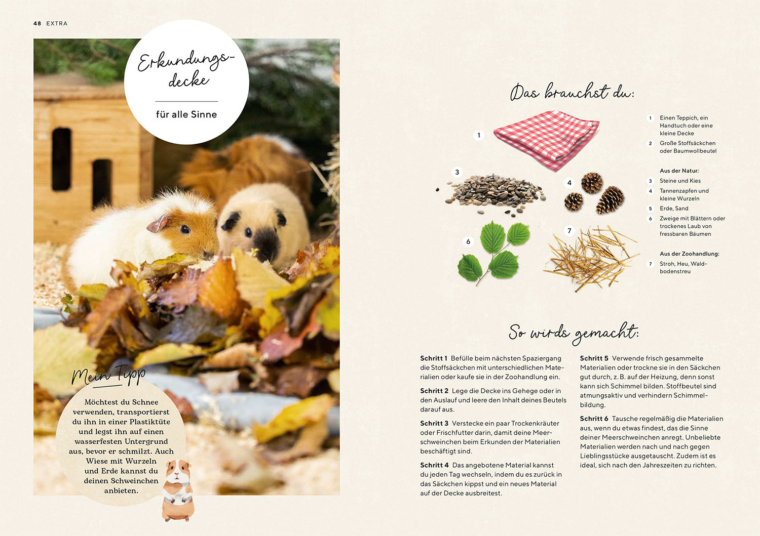 adventure-games-b-cher-meerschweinchen-ratgeber-ersthalter image 5