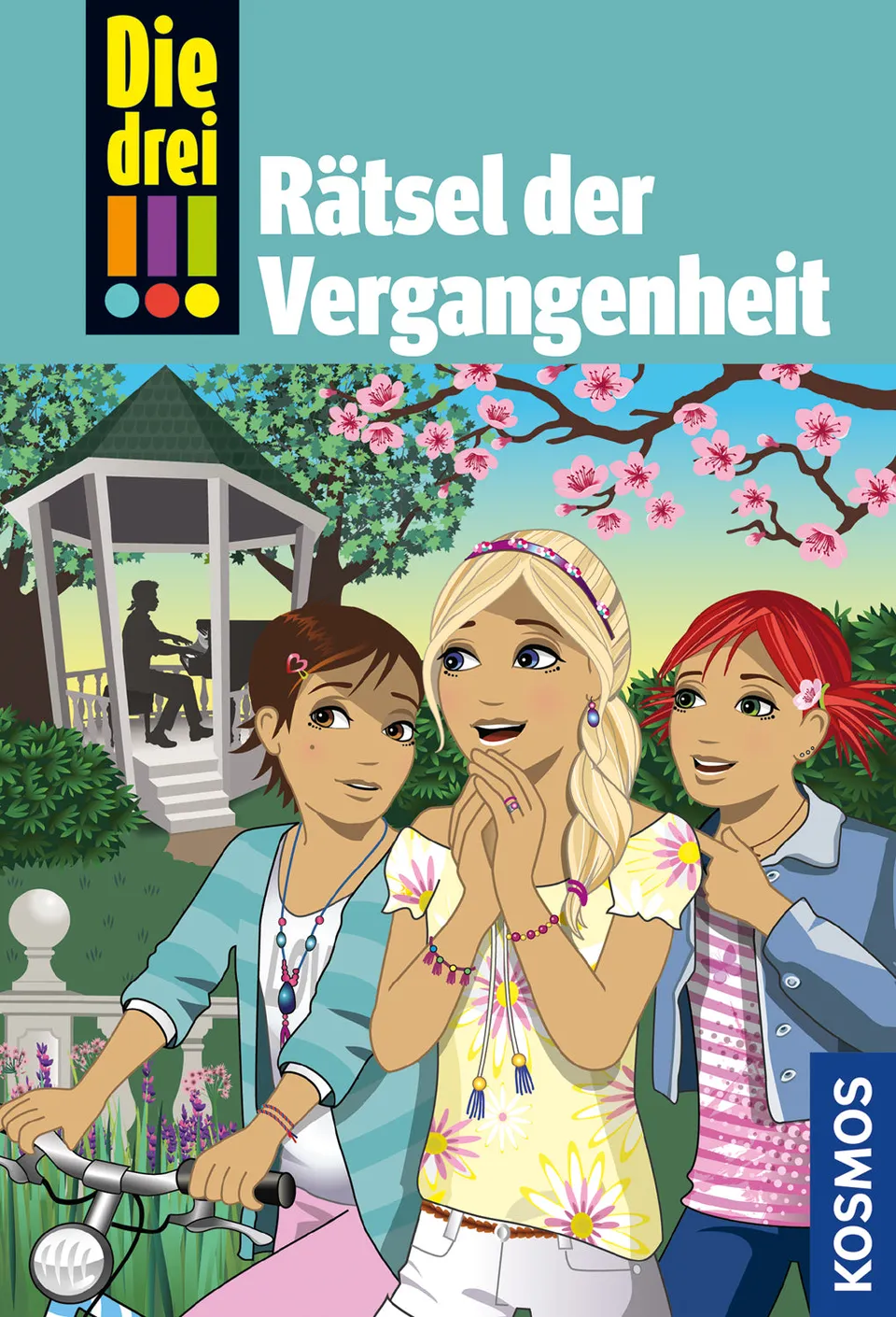 die-drei-74-r-tsel-der-vergangenheit-ebook-detektivinnen image 1