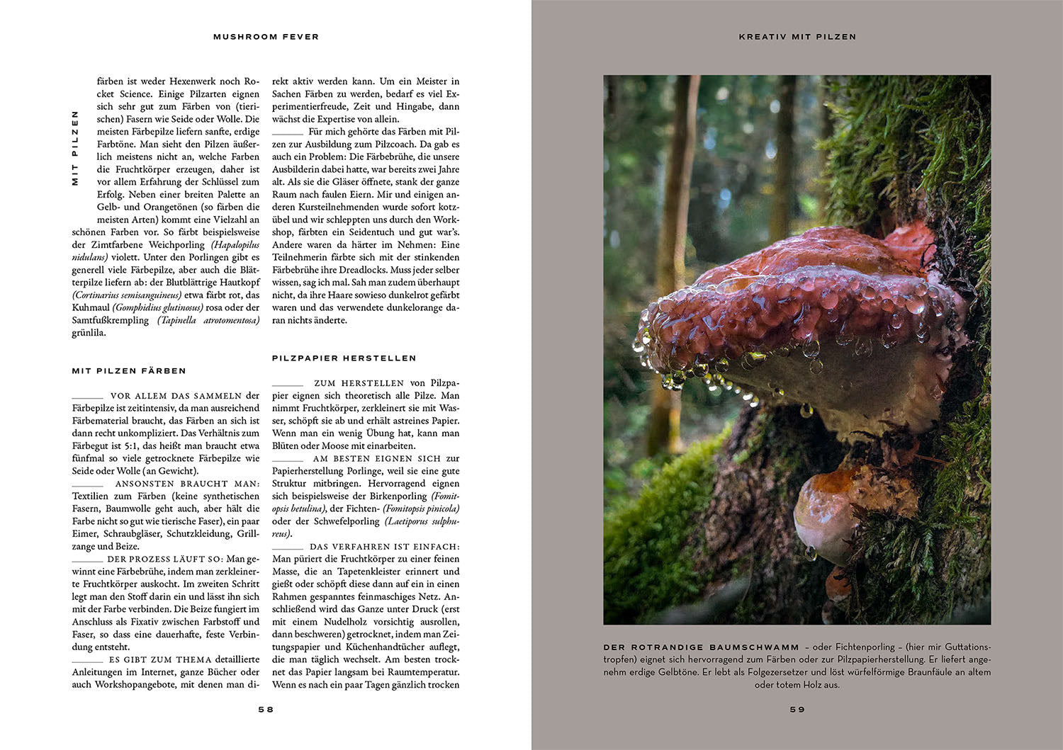 kosmos-mushroom-fever-buch-pilze-sammeln-moritz-schmid-2 image 4