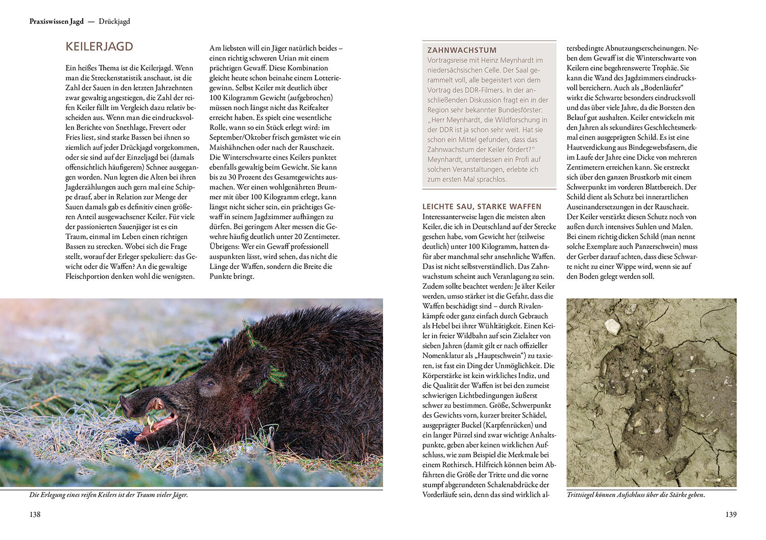auf-sauen-jagen-mit-herz-und-verstand-jagdbuch-schwarzwild image 6