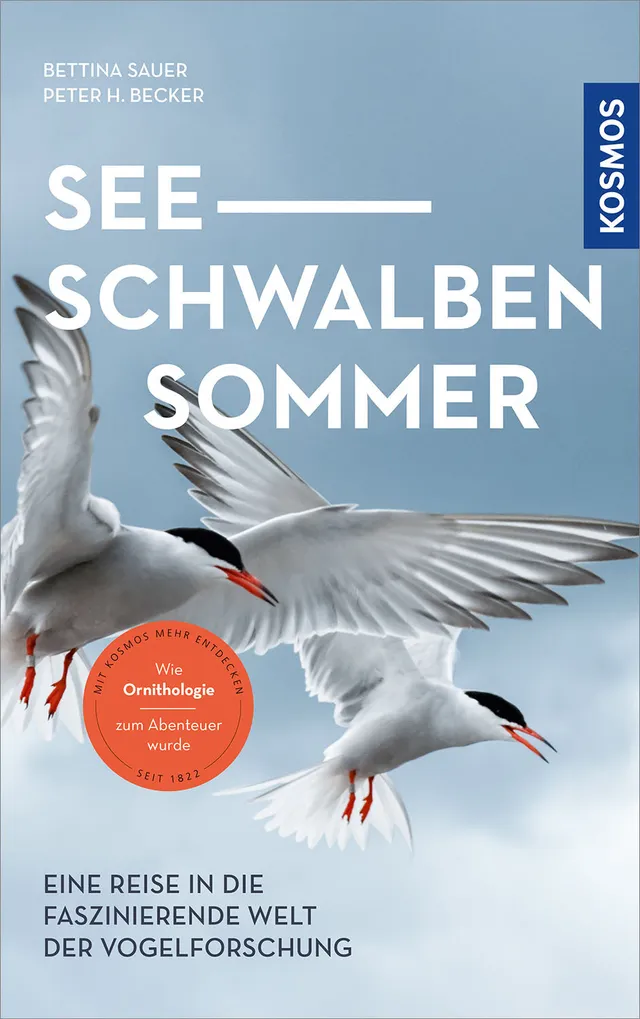 kosmos-seeschwalbensommer-sachbuch-flussseeschwalben-v-gel image 1