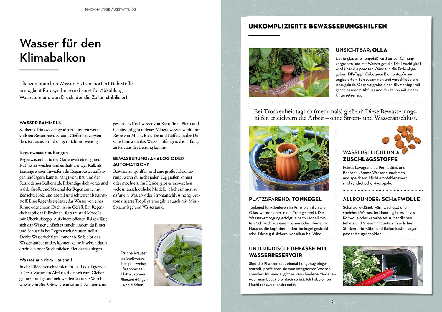 klimahelden-auf-dem-balkon-ratgeber-balkongarten image 4