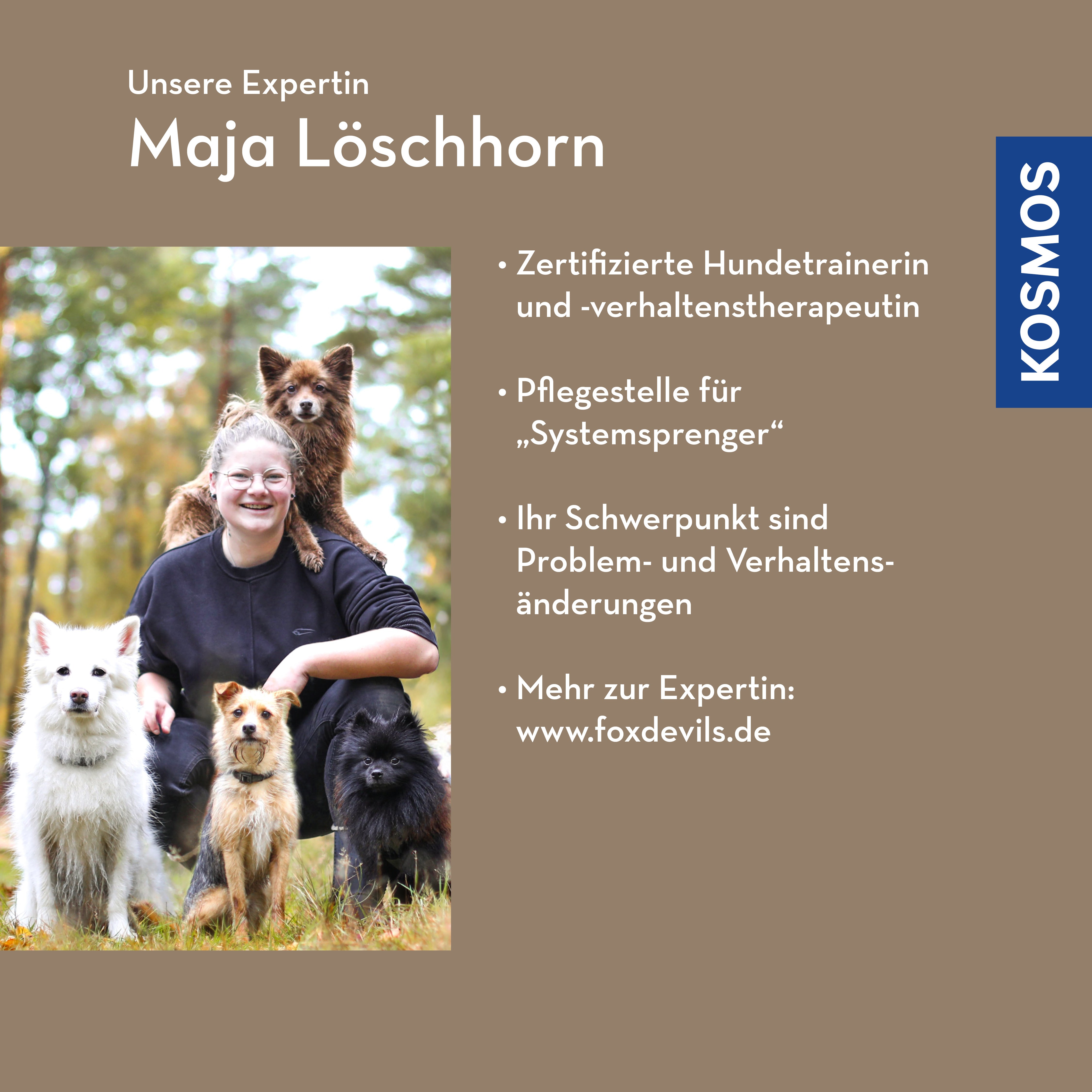 verhaltensauff-lligkeiten-beim-hund-webinar-live-webinar-online image 2