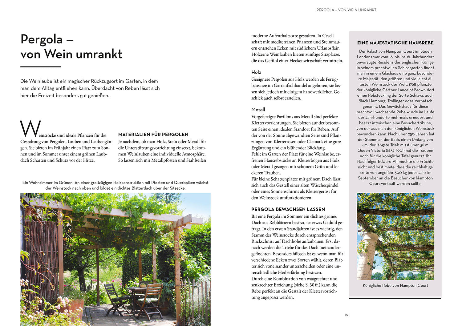 kosmos-wein-im-garten-anbauen-ernten-ratgeber-rebsorten image 3