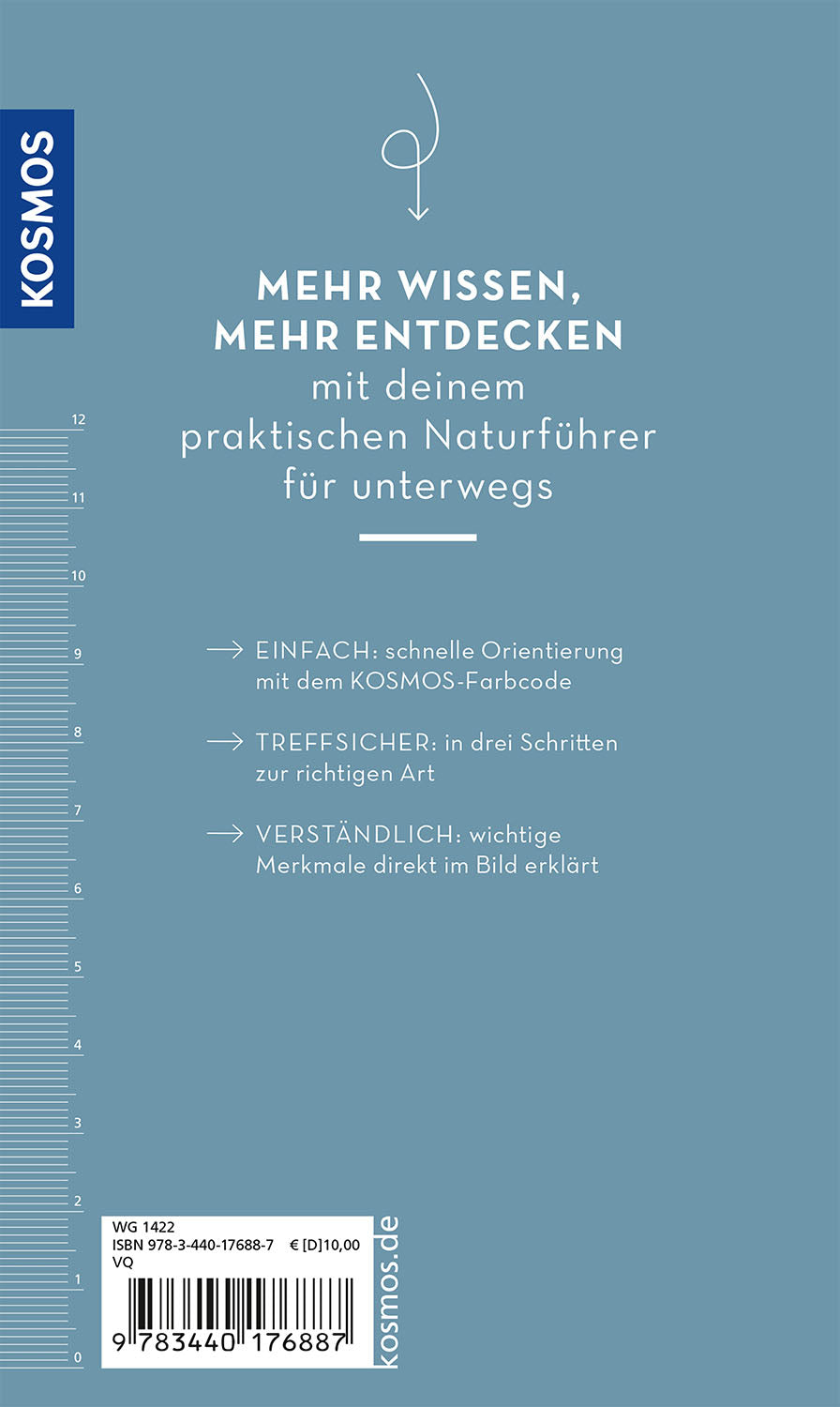 kosmos-basic-strand-und-k-ste-naturf-hrer-taschenbuch image 2