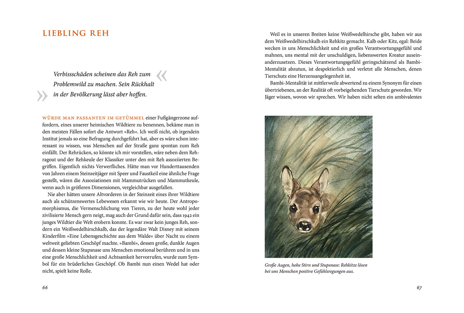 kosmos-im-hier-und-jetzt-buch-hochsitz-jagd-j-rg-mangold image 4