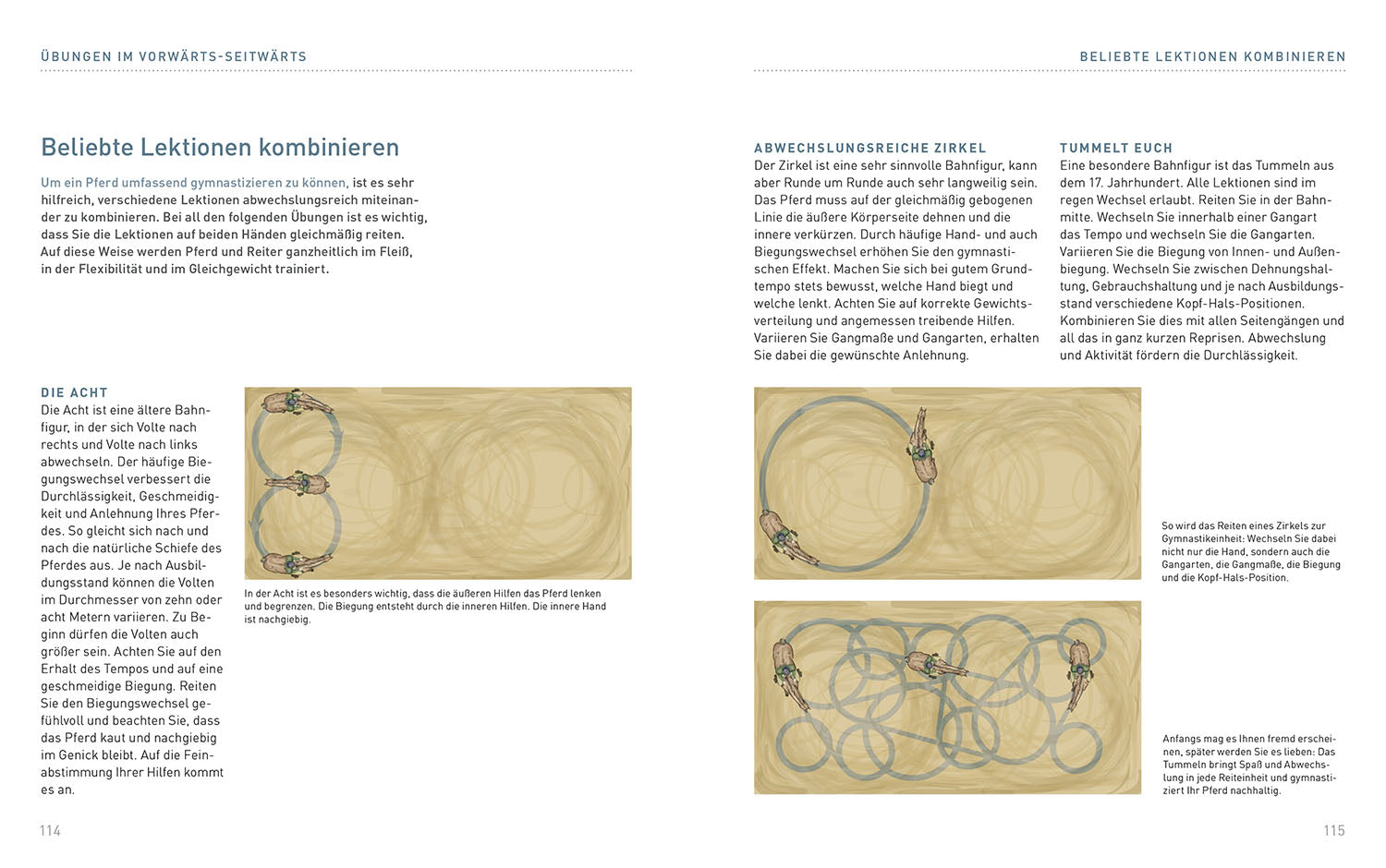 kosmos-lektionen-f-r-die-reitstunde-buch-sibylle-wiemer image 6