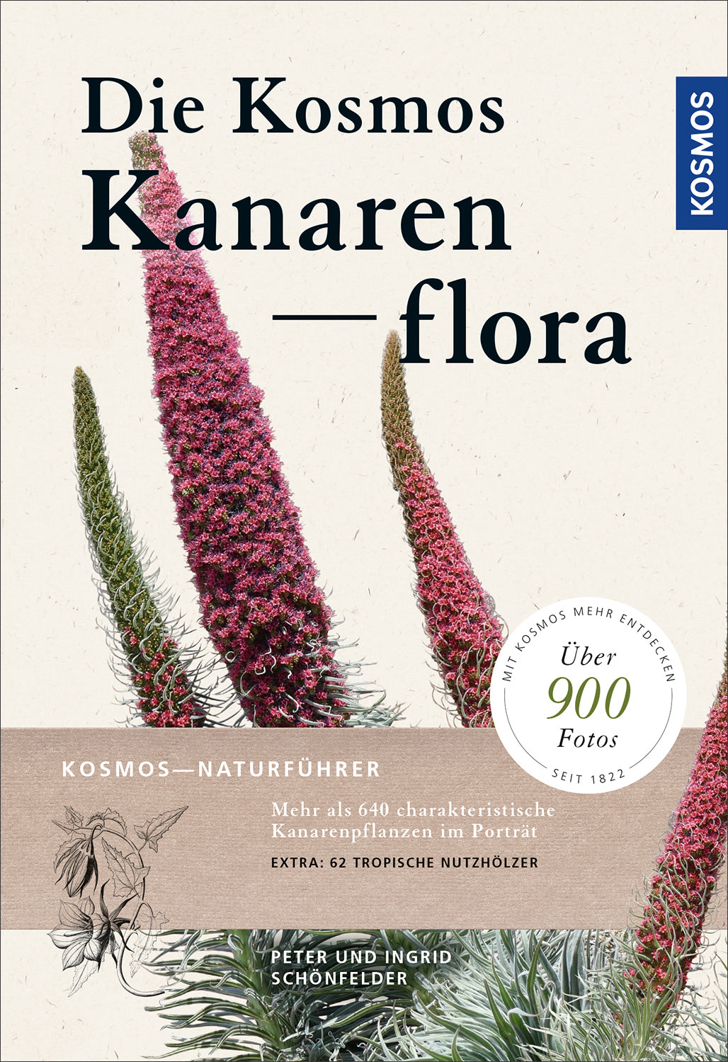 kosmos-die-kosmos-kanarenflora-buch-pflanzenf-hrer-640-arten image 1