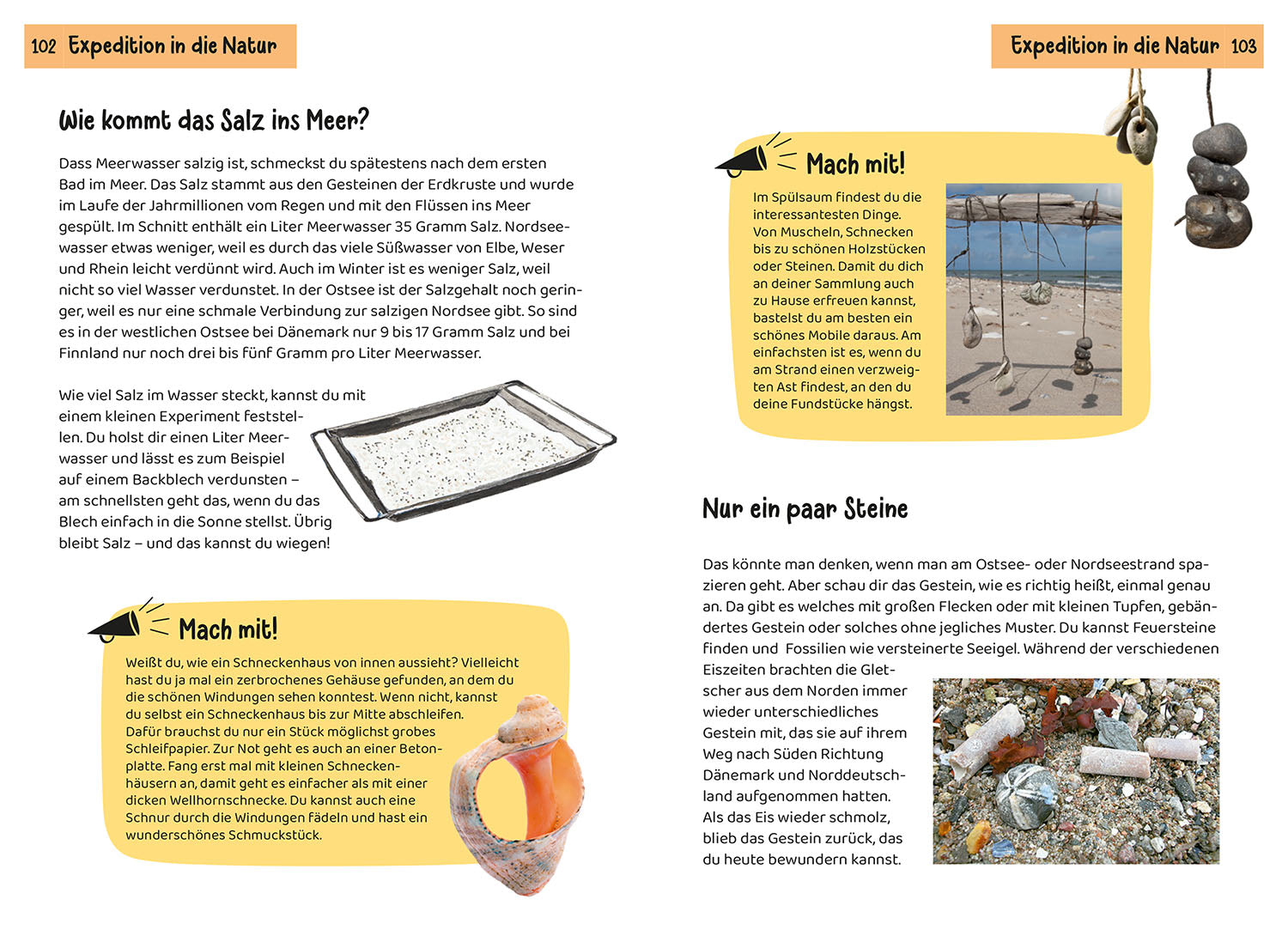 kosmos-kindernaturf-hrer-strand-und-k-ste-buch-85-arten image 6