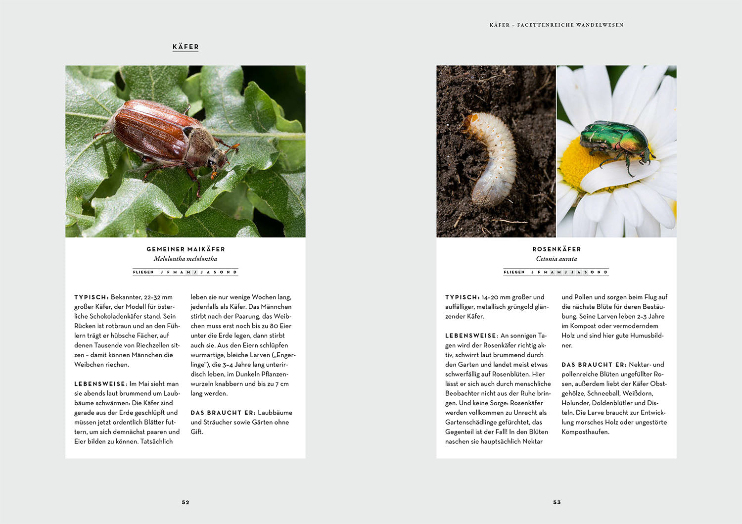 wer-schmetterlinge-liebt-muss-raupen-f-ttern-buch-hecker image 4