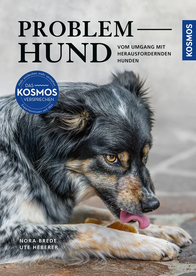 adventure-games-problem-hund-ratgeber-hundeerziehung-buch image 1