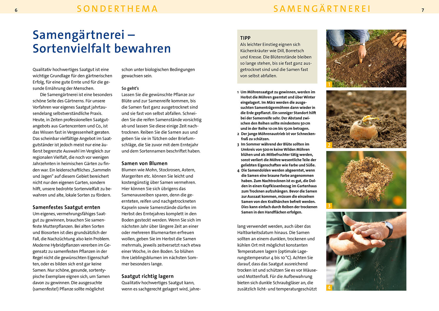 kosmos-aussaattage-2025-gartenkalender-mondkalender-biog-rtnern image 3