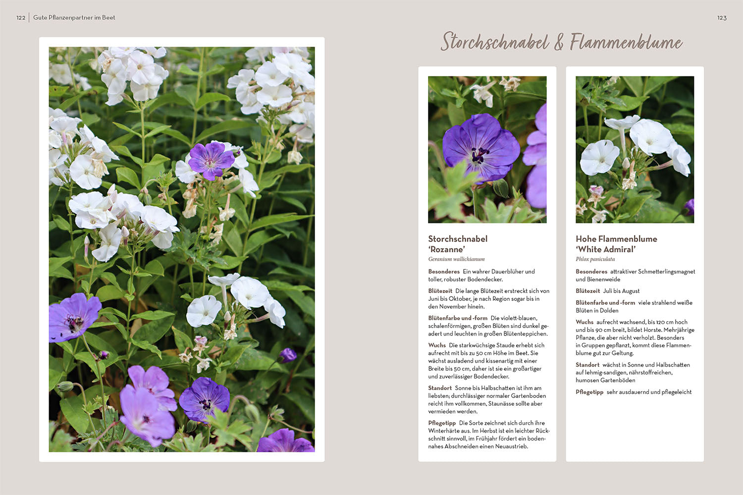 kosmos-klotzen-statt-kleckern-gartenbuch-gartentraum image 6