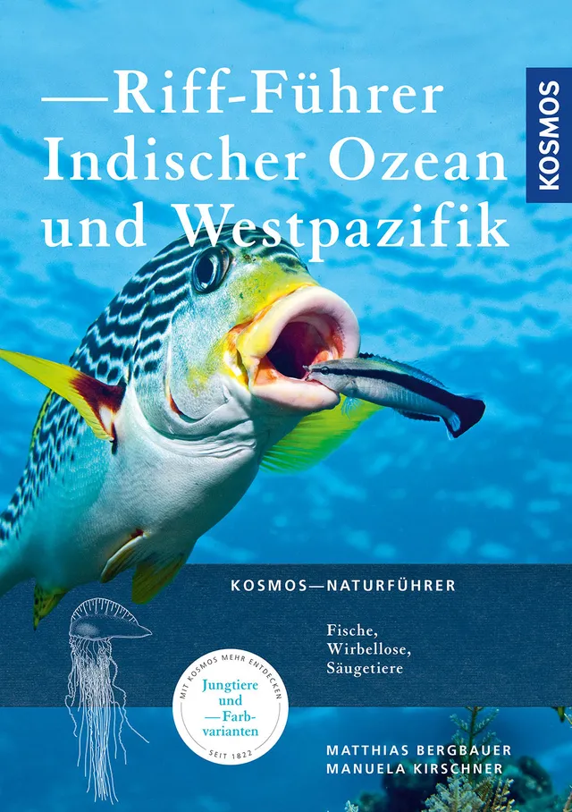kosmos-riff-f-hrer-indischer-ozean-buch-tauchen-schnorcheln image 1