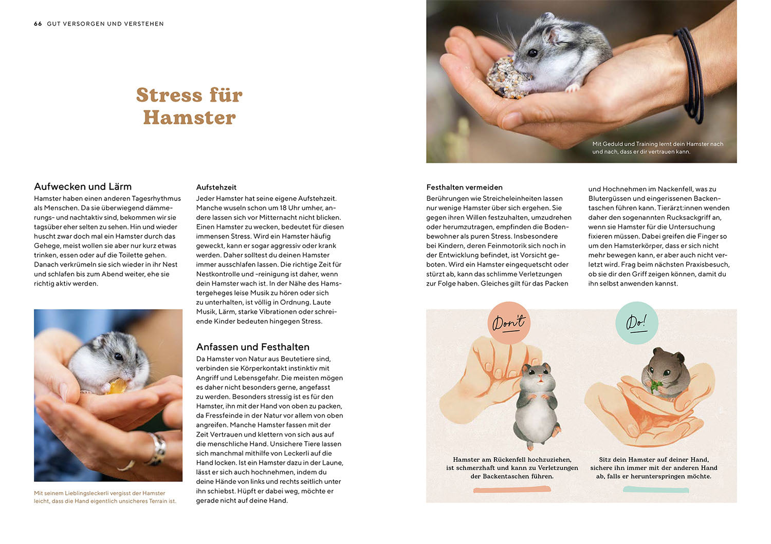 kosmos-hamster-ratgeber-haltung-gehege-ersttierhalter image 5