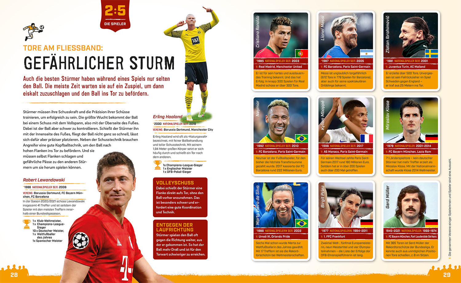 fu-ball-buch-f-r-kids-mit-regeln-bundesliga-11-kapitel image 3