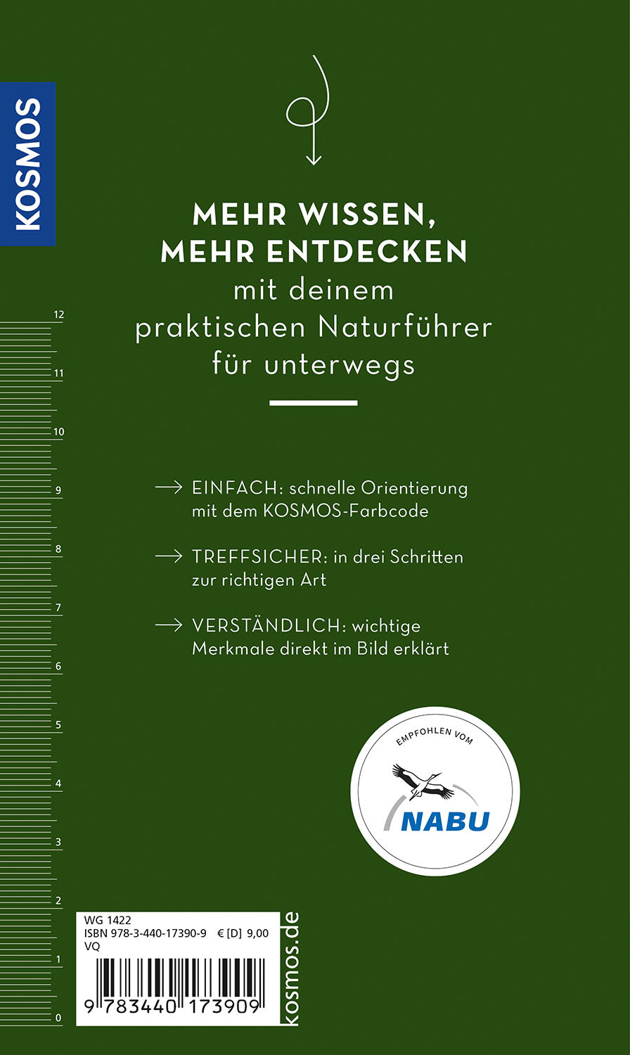 kosmos-basic-b-ume-buch-naturf-hrer-109-b-ume image 2