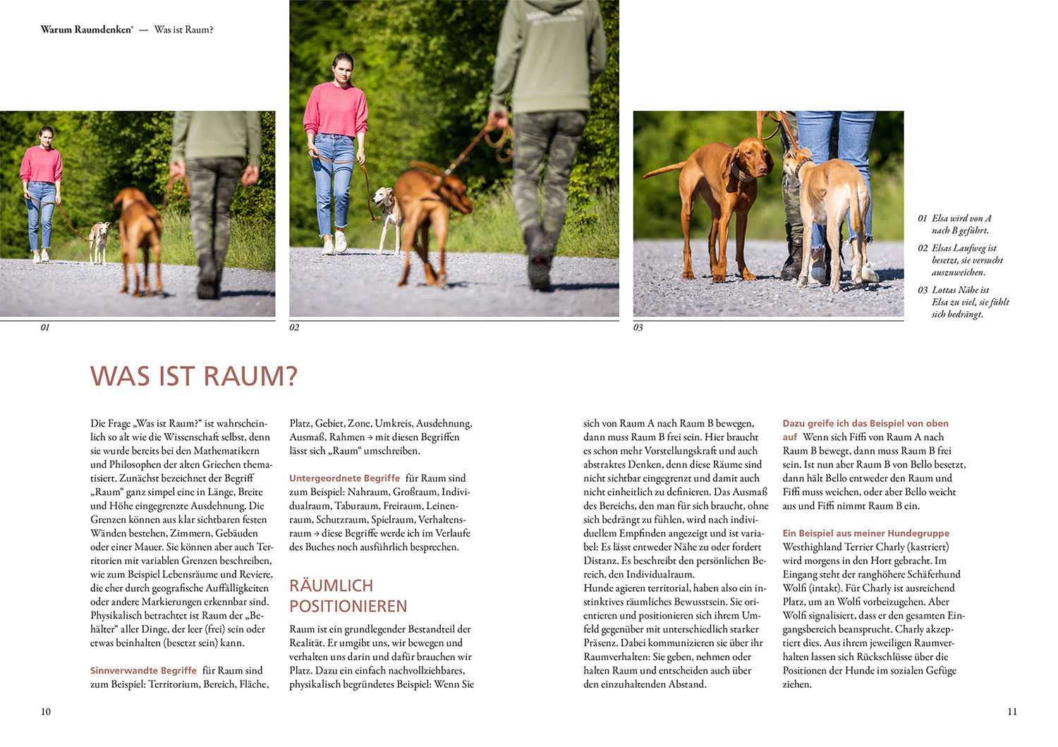 kosmos-raumdenken-in-der-hundeerziehung-ratgeber-hund image 3