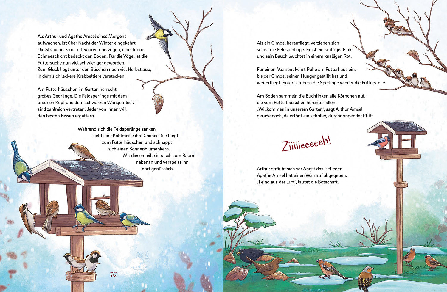 kosmos-arthur-agathe-amsel-buch-futterhaus-v-gel image 5