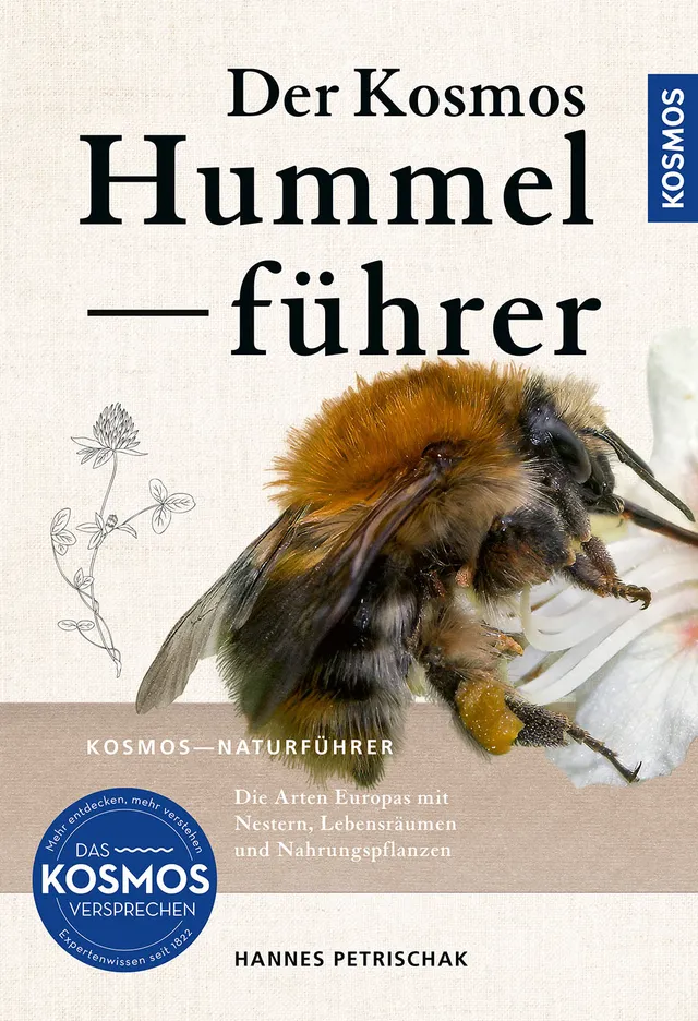kosmos-hummelf-hrer-buch-hummeln-bestimmen image 1