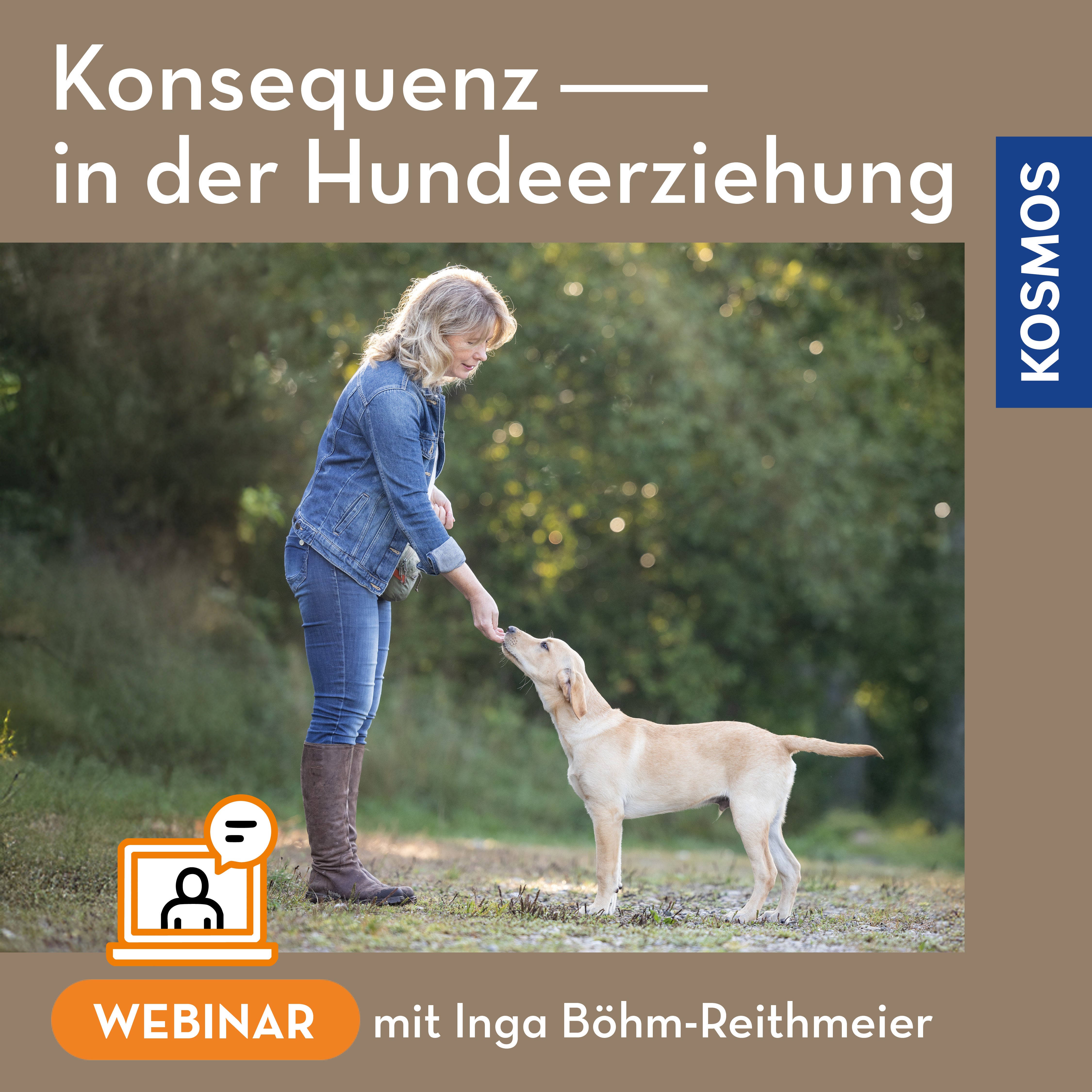 die-zauberkicker-konsequenz-in-der-hundeerziehung-webinar-live-webinar image 1
