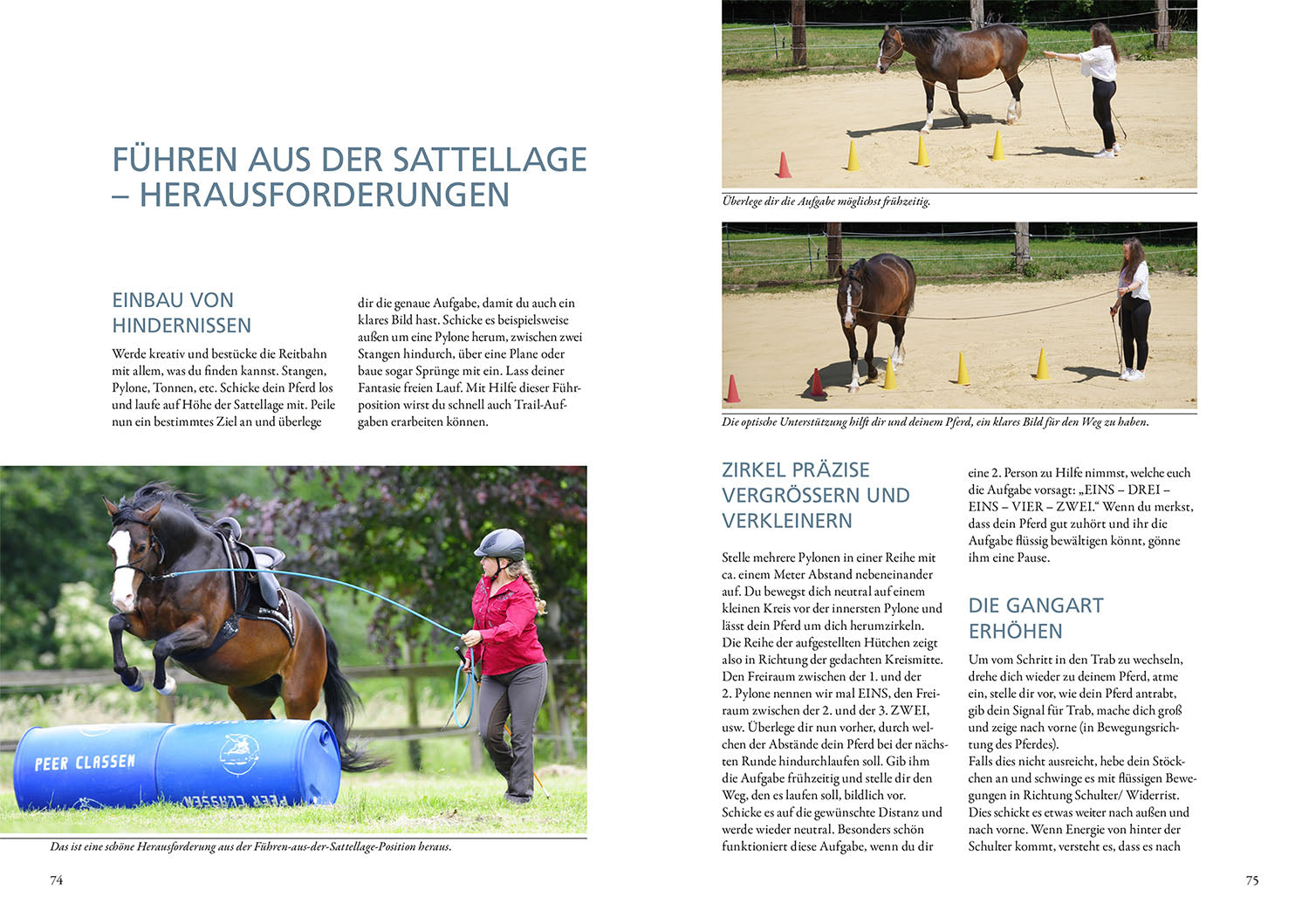 kosmos-horsemanship-lernen-jenny-peer-ratgeber-pferd image 6