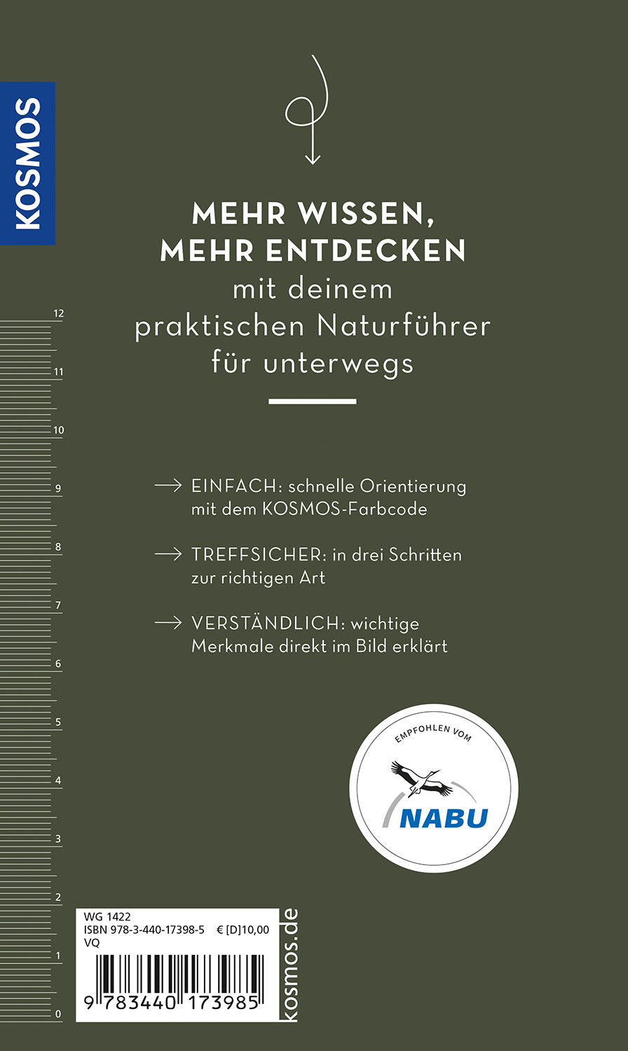 kosmos-basic-schmetterlinge-buch-naturf-hrer-100-arten image 2